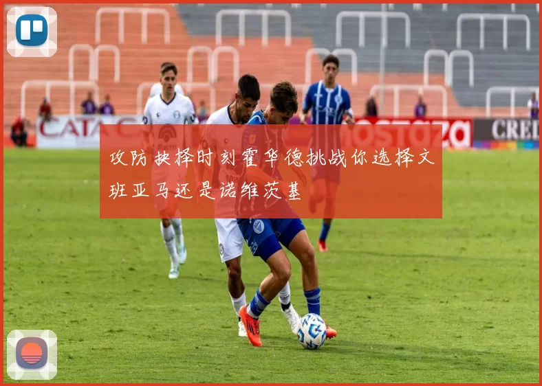 攻防抉择时刻霍华德挑战你选择文班亚马还是诺维茨基